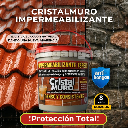 "¡Protege tus paredes y fachadas con Cristal Muro®️!"
